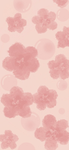 -Blossom's clothing-