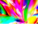Neon_Colors