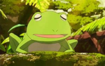 rocky frogs group