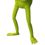 kermits legs