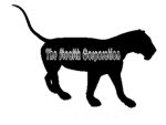 The Stealth Corporation Honor Division