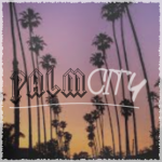 PalmCity