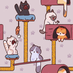 kitty enjoyers