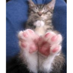 R1ot Studio