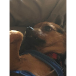 Snickers chilling group