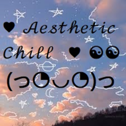 Aesthetic Chill