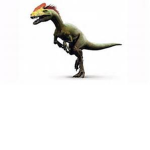 Dino Clothing!