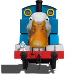 ducks duck