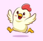 the best chicken group!