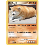 DOGE GROUP OF DOGES