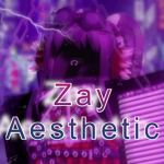 Zay Aesthetic