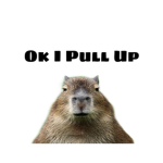 Capybara gangs!