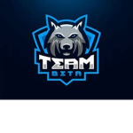 TB - Team Beta