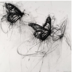 Butterflyp!