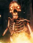 THE SKELETON SHOP