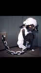 The Server Pets