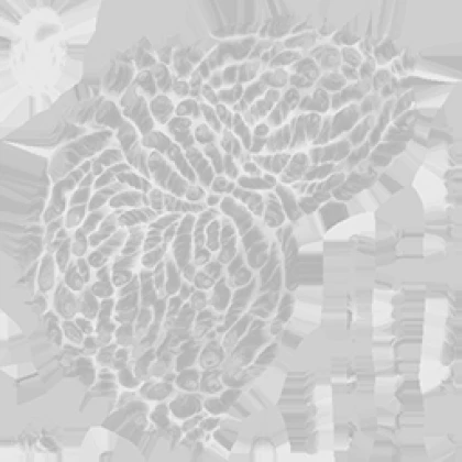 Leak asset thumbnail