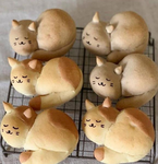 ʚ Kitty bun ɞ