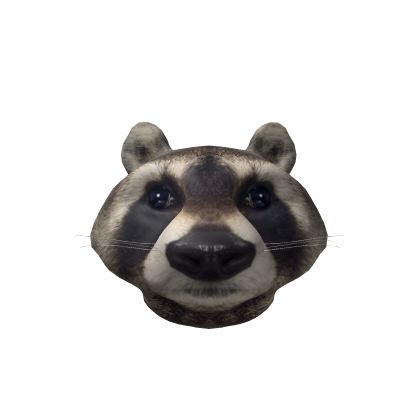 Realistic Raccoon Head