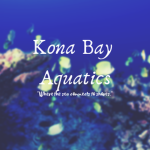 Kona Bay Aquatics
