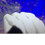 Moon rains