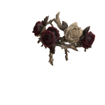 Tiara of death 🥀