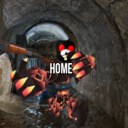 Mice Home