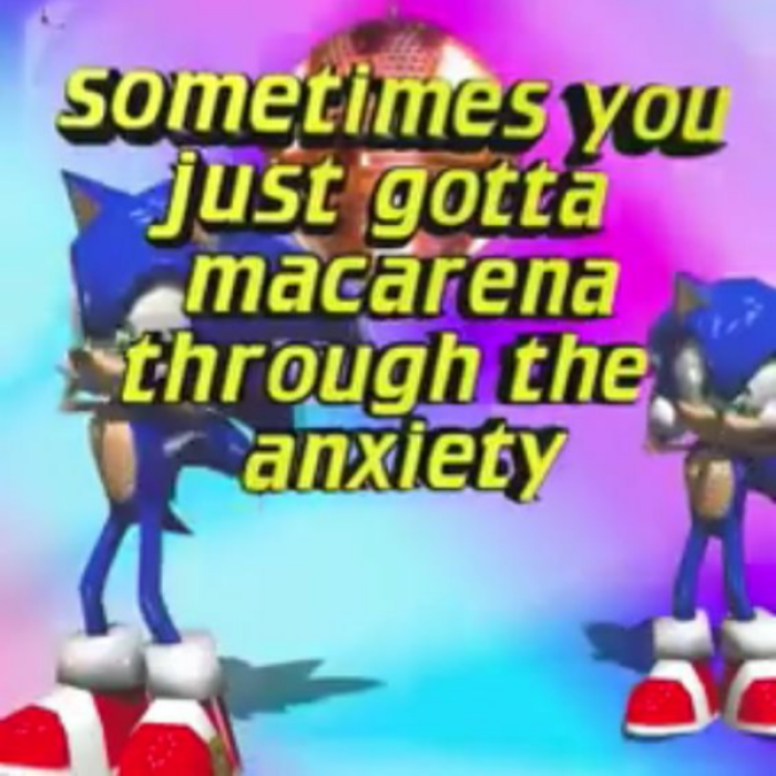 s0nic meme Roblox decal