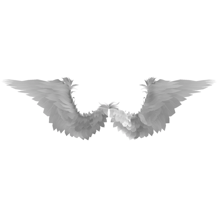 Angel Wings