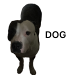 Pitbull Game Production