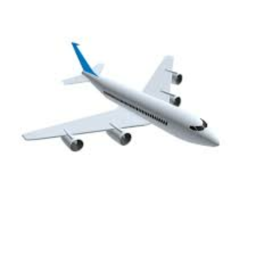 Rishabh's plane