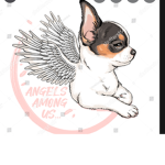 Angels= dogs