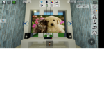 Rhy s place