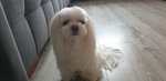 Me name lila