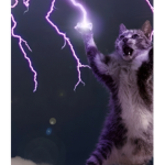 LION_E
