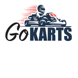PRO GO KARTS | NEW BETA