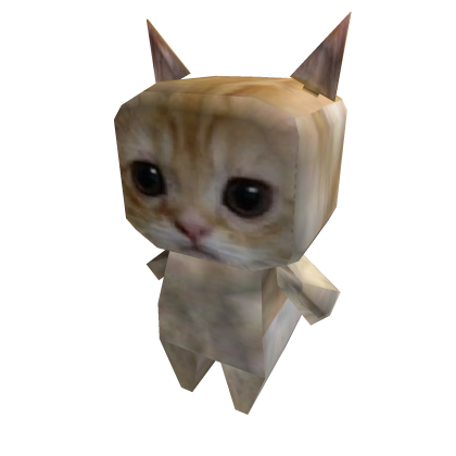 Box Cat Suit