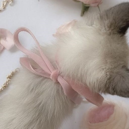 ˚♡˚