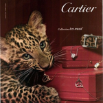 Cart¡er