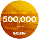 500,000 Studs