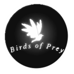 〈 Birds of Prey 〉