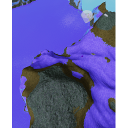 Purple Shep's Ocean