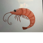 Shrimpy squad members only
