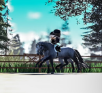Blue Ribbon Equines