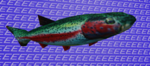 Fish group228