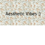 Aesthetic vibes :)