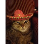Sai's Mexicans