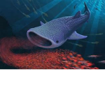 The Gosharky group