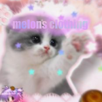 -*melons clothing*-