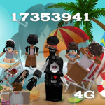 /4G